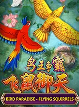 Bird Paradise